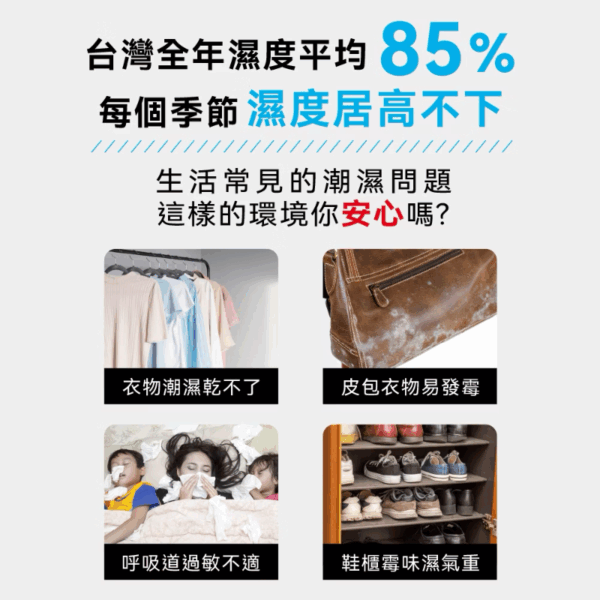 法國THOMSON 二合一環保除濕機 TM-SADE05 2台_箱-2 法國THOMSON 二合一環保除濕機 TM-SADE05